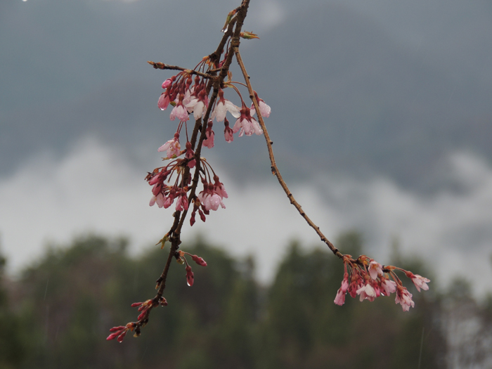 長野県　コーラス、音楽、撮影合宿