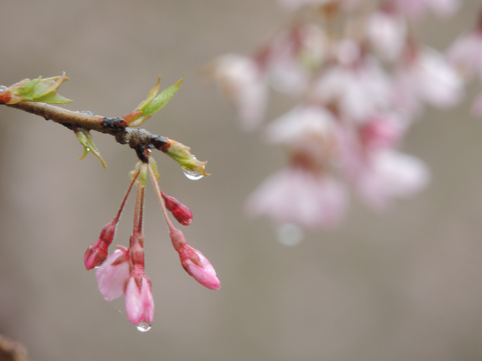 長野県　コーラス、音楽、撮影合宿