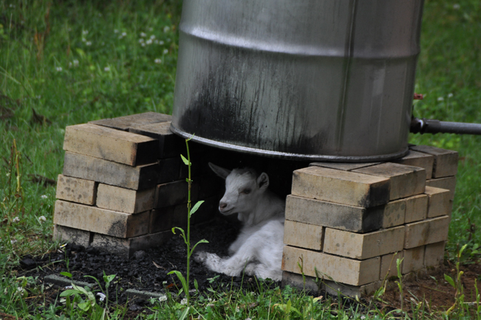 長野県　コーラス、音楽、撮影合宿