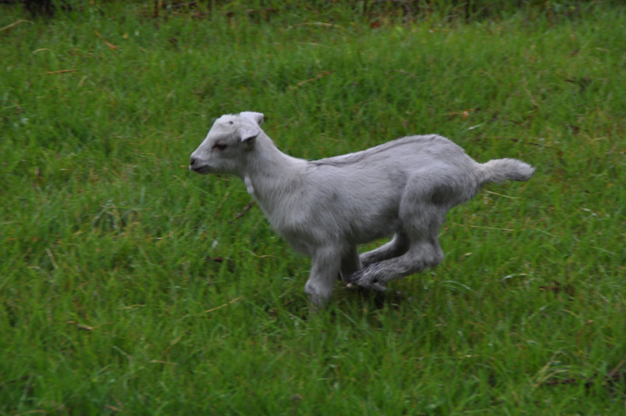 長野県　コーラス、音楽、撮影合宿