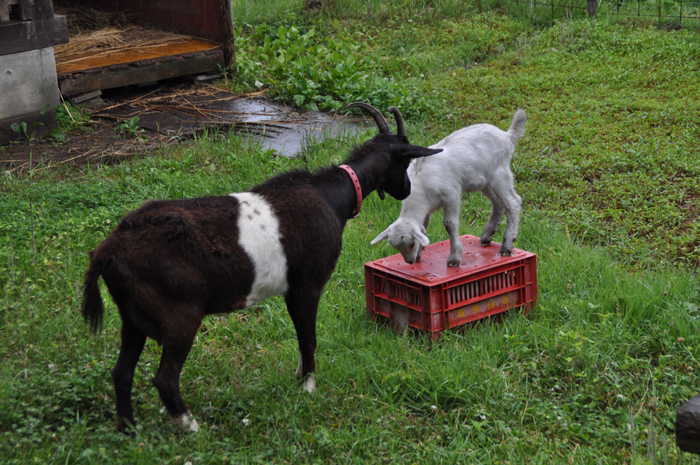 長野県　コーラス、音楽、撮影合宿
