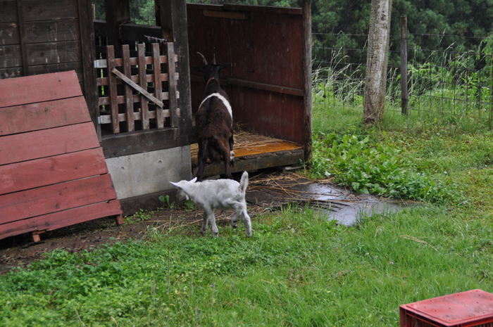 長野県　コーラス、音楽、撮影合宿
