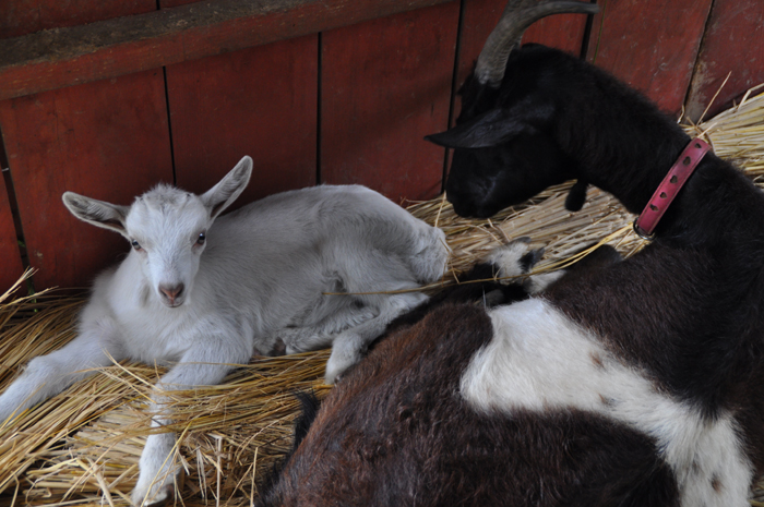 長野県　コーラス、音楽、撮影合宿
