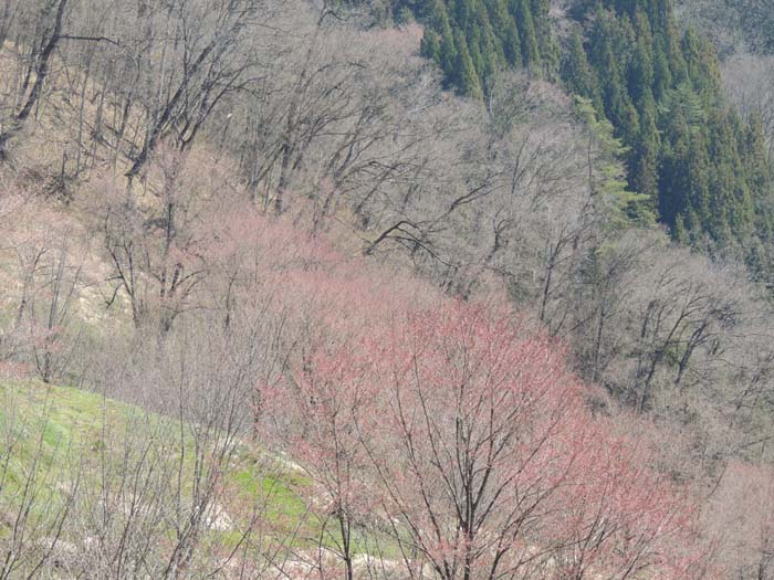 長野県　コーラス、音楽、撮影合宿