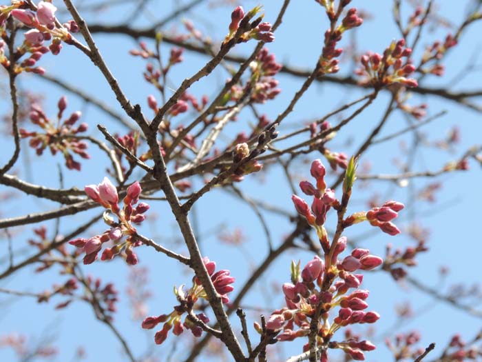 長野県　コーラス、音楽、撮影合宿