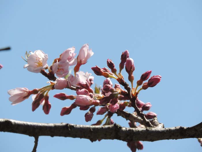 長野県　コーラス、音楽、撮影合宿