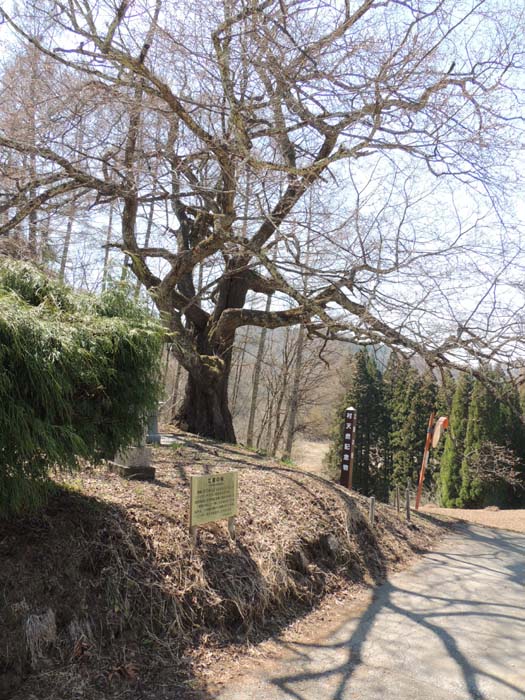 長野県　コーラス、音楽、撮影合宿