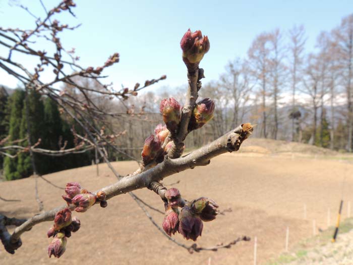 長野県　コーラス、音楽、撮影合宿