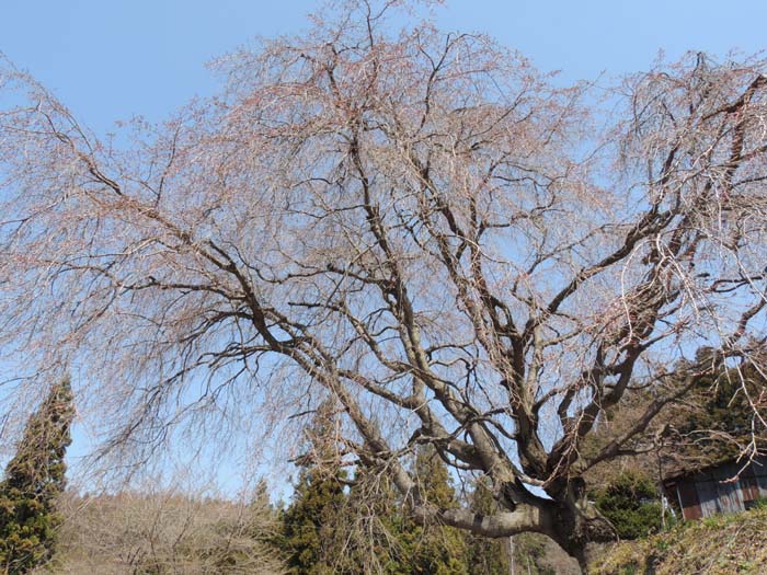 長野県　コーラス、音楽、撮影合宿