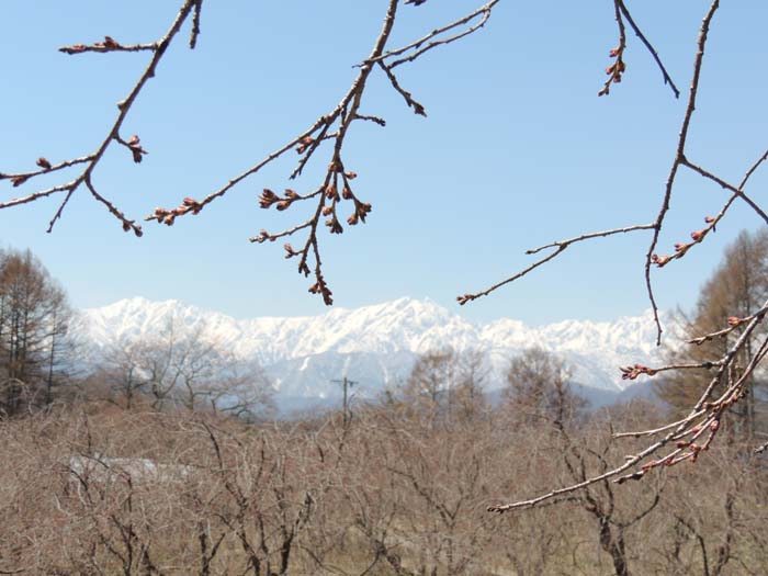 長野県　コーラス、音楽、撮影合宿