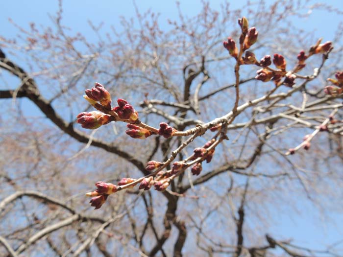 長野県　コーラス、音楽、撮影合宿